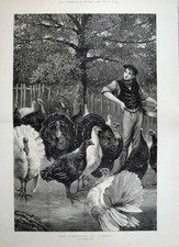 Old antique print for sale  UK
