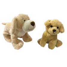 Two small puppy for sale  Columbia