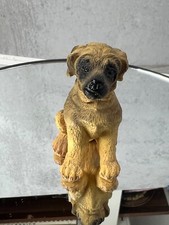 Golden retriever puppy for sale  Jacksonville