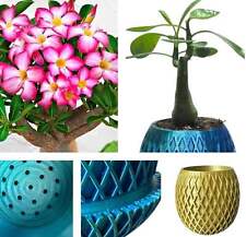 Pineapple plant pot for sale  ANTRIM