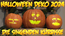 Halloween kürbisse 2024 gebraucht kaufen  Deutschland