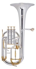 Bugle corno flicorno usato  Spedire a Italy