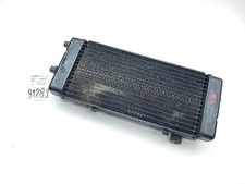 Radiatore liquido originale usato  Italia