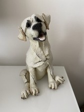 Mutts breed apart for sale  SWINDON