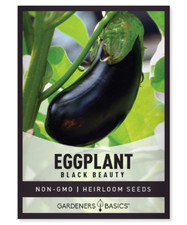Black beauty eggplant for sale  Spanish Fork