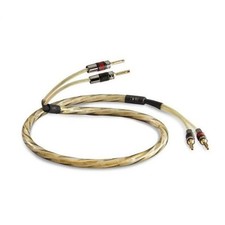 qed xlr usato qed xlr usato Mercato San Severino