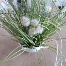 Deko künstliche wiesenblumen gebraucht kaufen  Tarmstedt