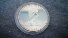 Silber dollar kanada gebraucht kaufen  Wittlich-Umland