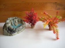 Lots plantes décors d'occasion Lots plantes décors d'occasion  Argenteuil