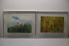 Foto bilder bilderrahmen gebraucht kaufen  Wittenborn