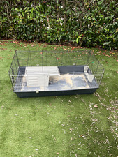 Cage cochons indes d'occasion  Fayence