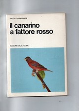 Canarino fattore rosso usato  Montecchio Emilia