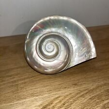 Coquillage collection nacre d'occasion  Bourgoin-Jallieu