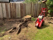 Stump grinder leicester for sale  COVENTRY