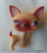 lps chihuahua for sale  Humble