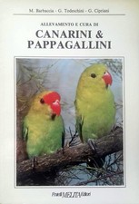 Allevamento cura canarini usato  Napoli