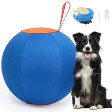 Dogs herding ball for sale  HAYES