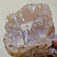 Petrified wood light for sale  Redwood City