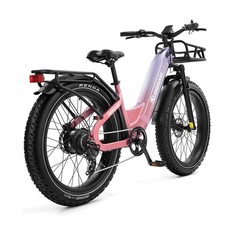 Intelligent vélo électrique d'occasion  France