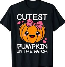 Cutest pumpkin patch for sale  Winchendon