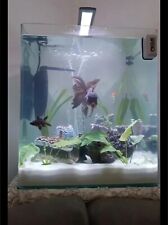 Acquario usato  Paola