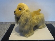 American cocker spaniel gebraucht kaufen  Deutschland