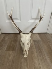 Rare nature found for sale  ALDERSHOT