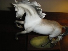 Kaiser porcelain stallion for sale  Warwick