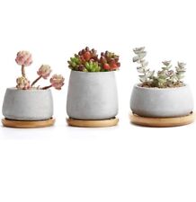 Cement succulent cactus for sale  Mansfield