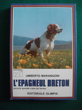 Marangoni epagneul breton usato  Cadelbosco di Sopra