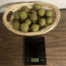 Lbs green walnuts for sale  Bulls Gap