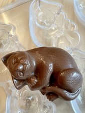 Sleeping cat polycarbonate for sale  LEICESTER