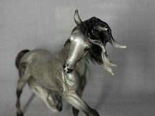 Esprit horse equestrian for sale  Wilton