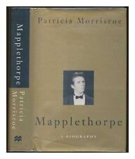 Mapplethorpe biography morrisr for sale  ROSSENDALE