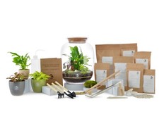 Large diy terrarium for sale  LONDON