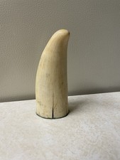 Faux whale tooth for sale  Crystal Lake