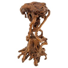 Varnished driftwood root for sale  USA