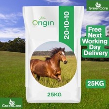 Paddock horse pony for sale  ORMSKIRK