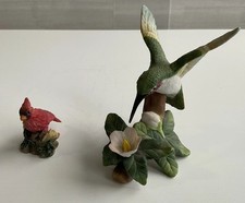 Ruby throated hummingbird for sale  Alfred