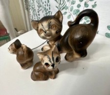 Chain set kittens for sale  Canton