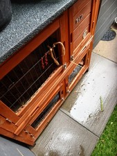 Rabbit hutch. for sale  WELLINGBOROUGH