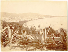 Cannes vue générale d'occasion  Pagny-sur-Moselle
