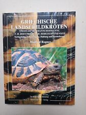 Griechische landschildkröten  gebraucht kaufen  Hügelsheim