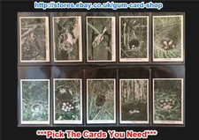 Challis wild birds for sale  HUNTINGDON