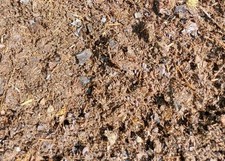 Abgelagerter pferdemist pferde gebraucht kaufen  Bienenbüttel