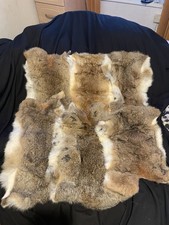 Rabbit skin natural for sale  ORMSKIRK