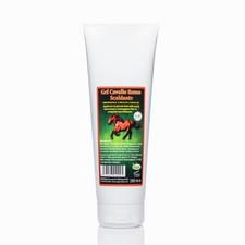 Gel cavallo per usato  Valvestino