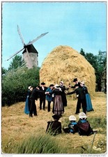 Bois cene groupe d'occasion  France