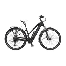 Bike trekking fischer gebraucht kaufen  Rülzheim
