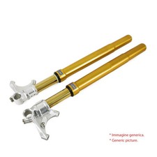 Ohlins forcella anteriore usato  Rimini